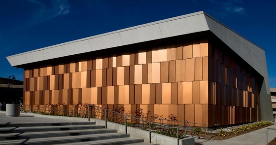 Rivestimento di alluminio di ACM ACP pannello lo strato di costruzione decorativo dello schermo del metallo della facciata