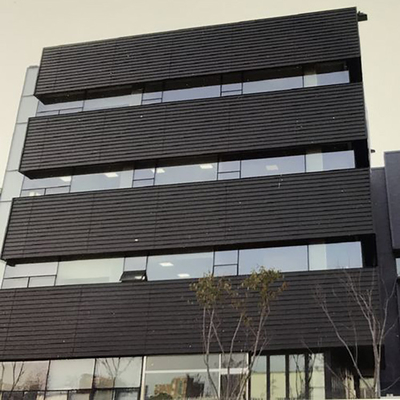 Struttura di vetro di alluminio di Windows del pannello del nastro moderno della facciata per costruzione